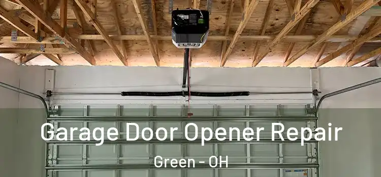  Garage Door Opener Repair Green - OH