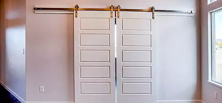 Glass Barn Door with Installation Hardware Kit Green