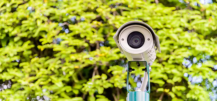 Advanced Surveillance Solutions for Every Need in Green